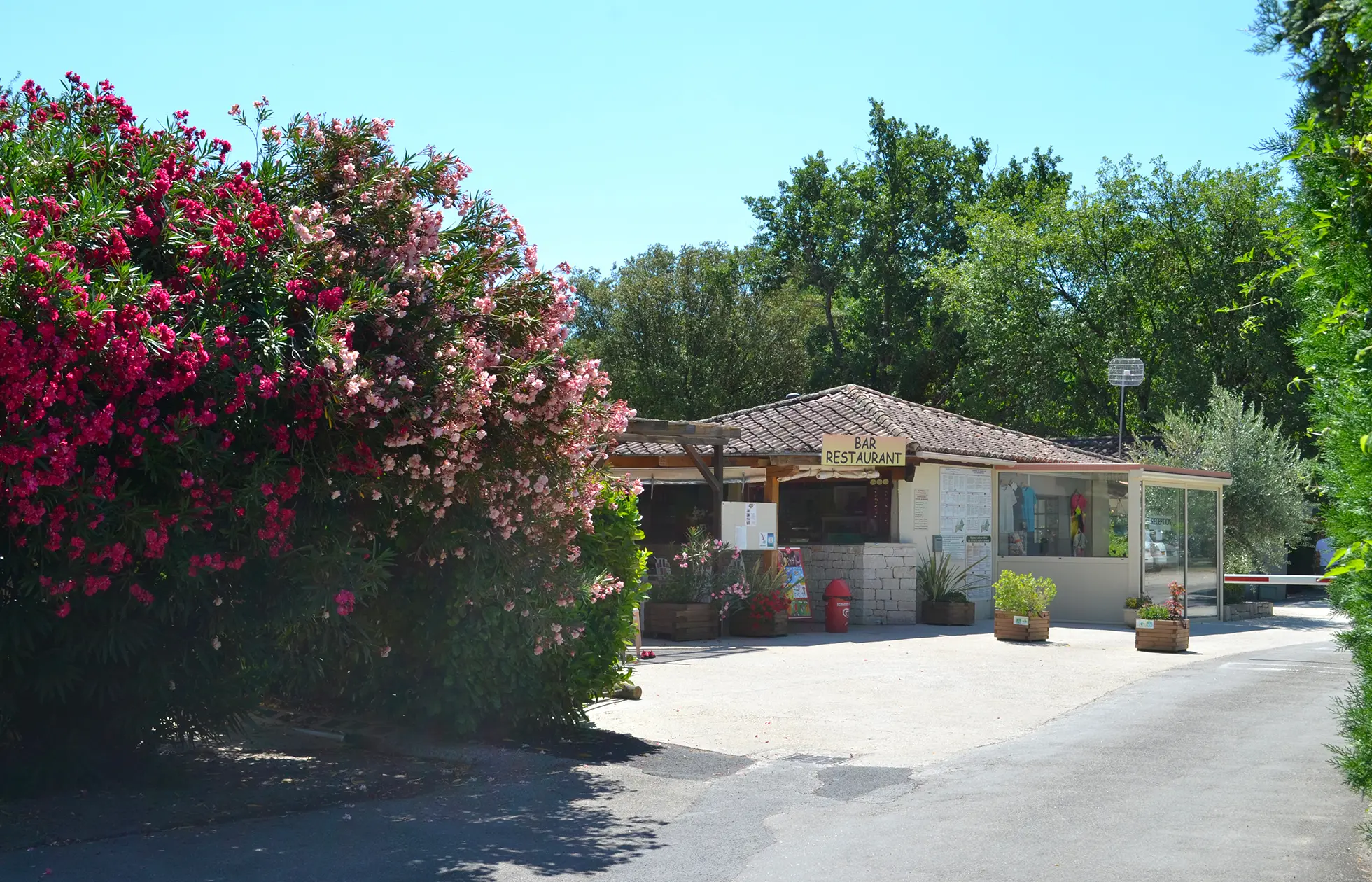 offer ' - '38 - Camping Le Saint Michelet - Service